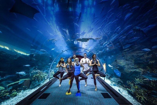Dubai Aquarium and Underwater Zoo Admission Ticket with Options - The Underwater Zoo and King Croc