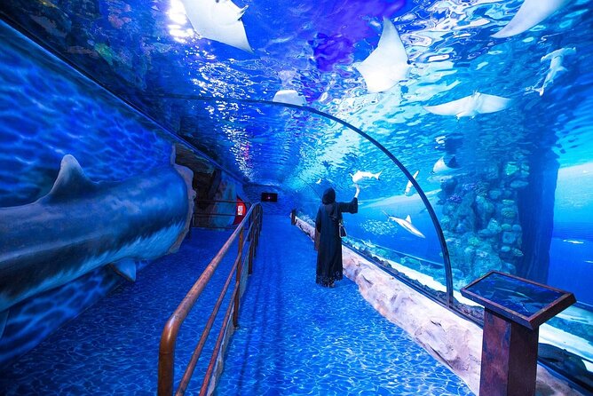 Dubai Aquarium and Underwater Zoo Admission Ticket with Options - Walking the 48-meter underwater tunnel