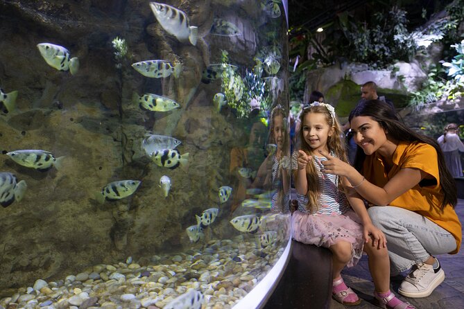 Dubai Aquarium and Underwater Zoo Entrance Ticket - Inside the Underwater Zoo