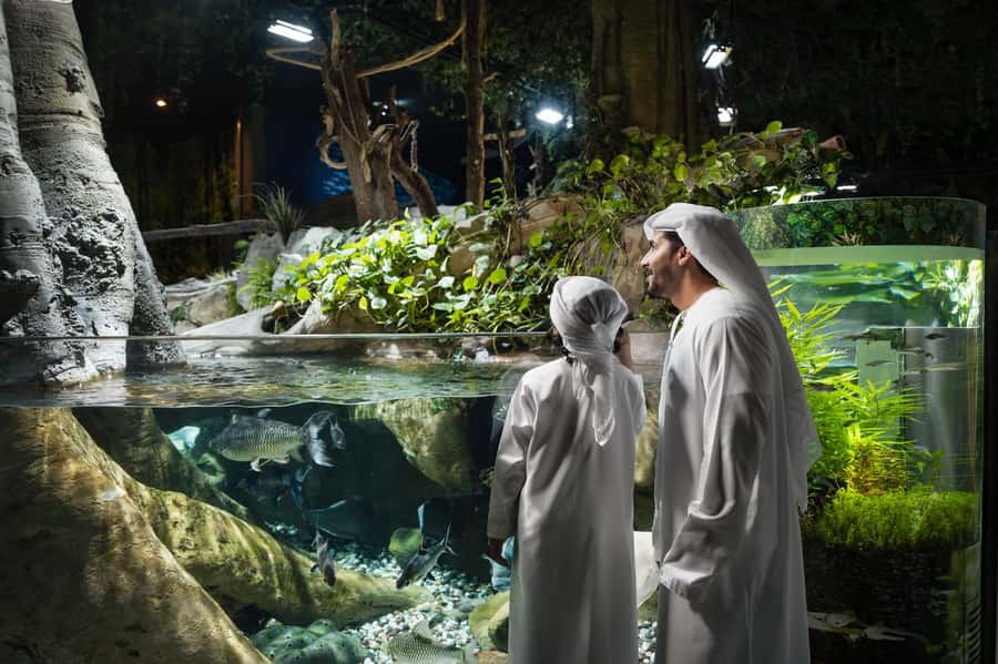 Dubai: Aquarium and Underwater Zoo Experience - A big tank in the middle of Dubai Mall