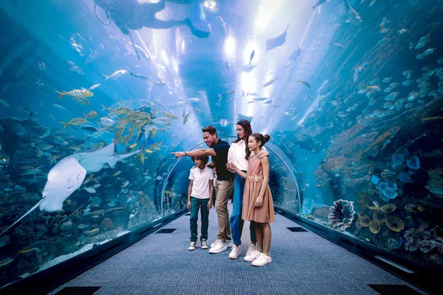 Dubai: Aquarium and Underwater Zoo Experience - Penguin Cove is the main upgrade