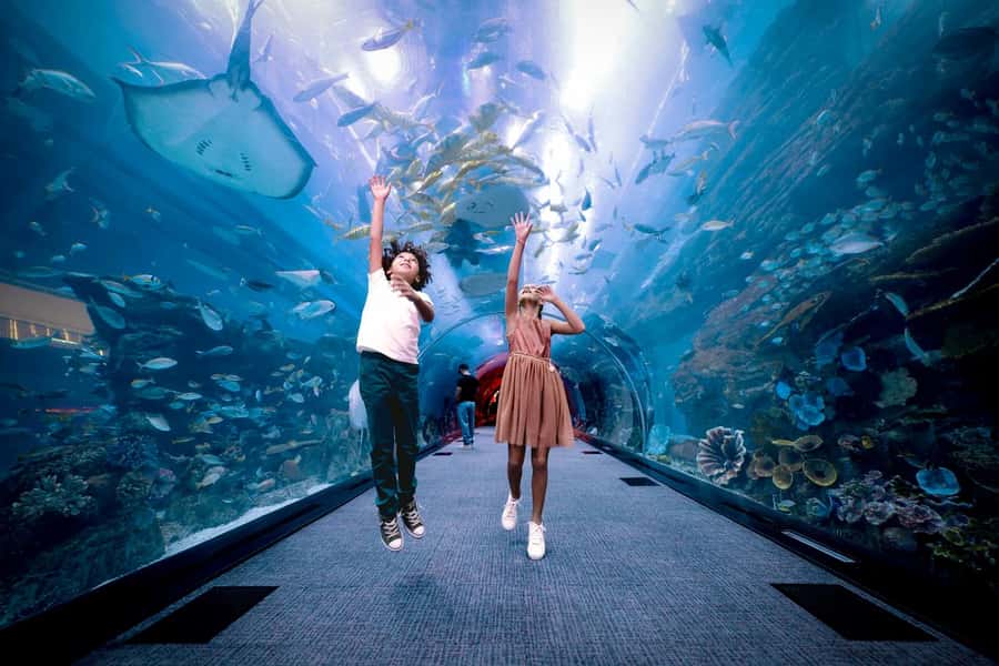 Dubai: Aquarium and Underwater Zoo Experience - How long should you plan?