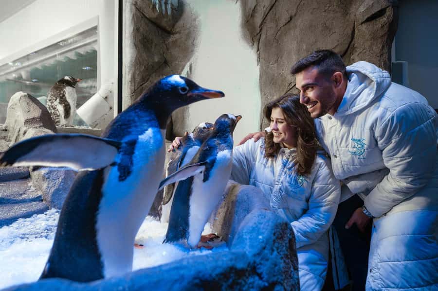 Dubai: Aquarium and Underwater Zoo Experience - Photo costs and practical spending advice