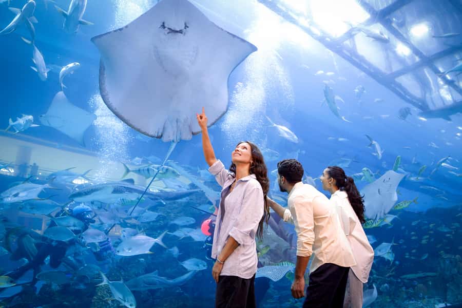 Dubai: Aquarium and Underwater Zoo Experience - Is Dubai Aquarium worth the money?