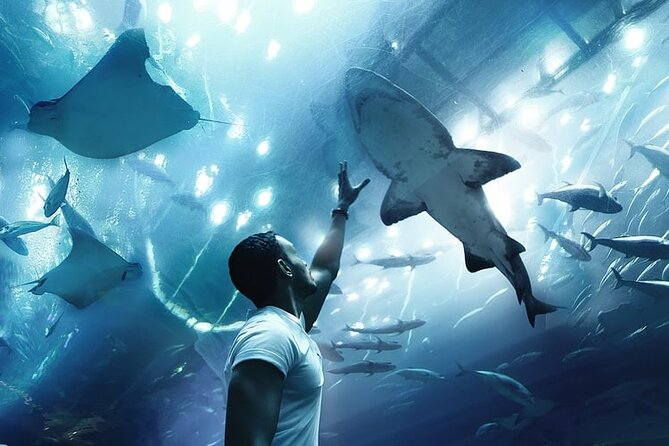 Dubai Aquarium And Underwater Zoo Tickets At Dubai Mall - How long to plan at Dubai Mall