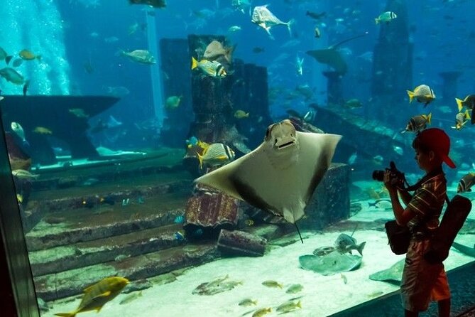 Dubai Aquarium and Underwater Zoo with Penguin Cove Tickets. - A giant tank in the middle of Dubai Mall