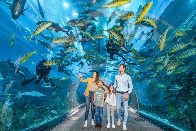 Dubai Aquarium and Underwater Zoo - Three zones give the visit a clear shape