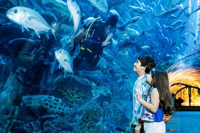 Dubai Aquarium & Underwater Zoo - Walking through the 48-metre tunnel