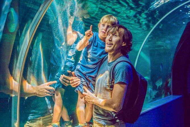 Dubai Aquarium & Underwater Zoo - How much time should you allow?