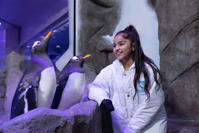 Dubai Aquarium & Underwater Zoo - Crowds, comfort, and the best way to visit