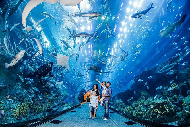 Dubai Aquarium & Underwater Zoo - Who will enjoy this aquarium most?