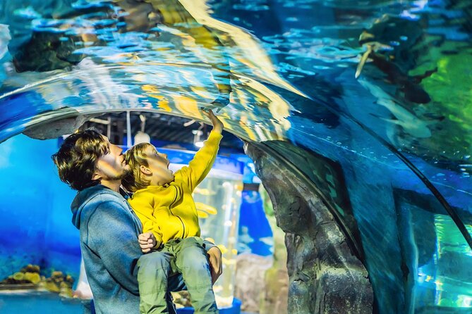Dubai Aquarium & Underwater Zoo Entrance Ticket - The giant tank inside Dubai Mall