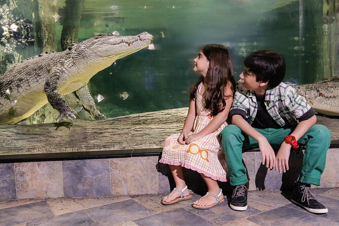 Dubai Aquarium & Underwater Zoo Entrance Ticket - Meeting King Croc