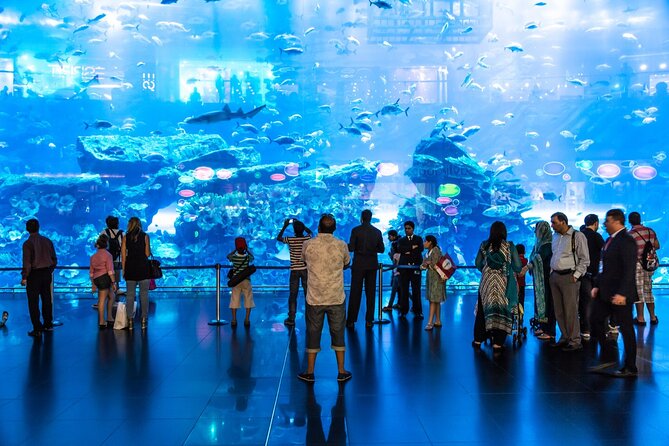 Dubai Aquarium & Underwater Zoo Entrance Ticket - What you see through the underwater tunnel