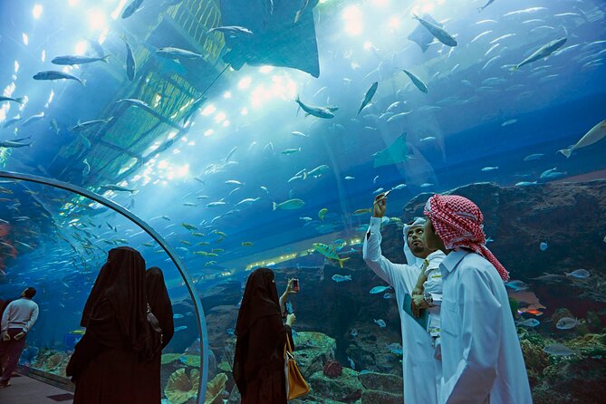 Dubai Aquarium & Underwater Zoo with Penguin Cove - Glass-bottom boat and animal encounters