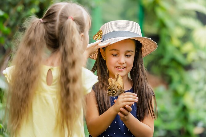 Dubai Butterfly Garden Admission Ticket - Ten domes, one covered butterfly garden