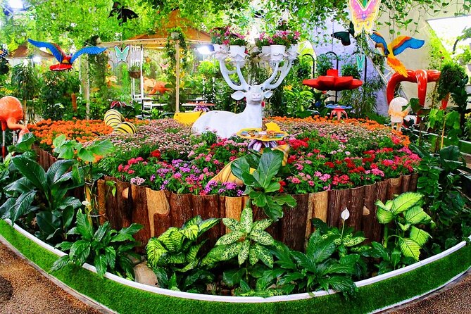 Dubai Butterfly Garden Admission Ticket - How long to stay and how to plan the day
