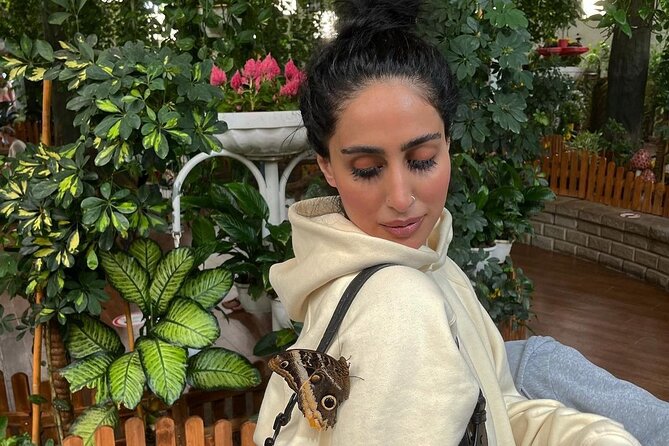 Dubai Butterfly Garden Entry Ticket - Ten domes filled with butterflies