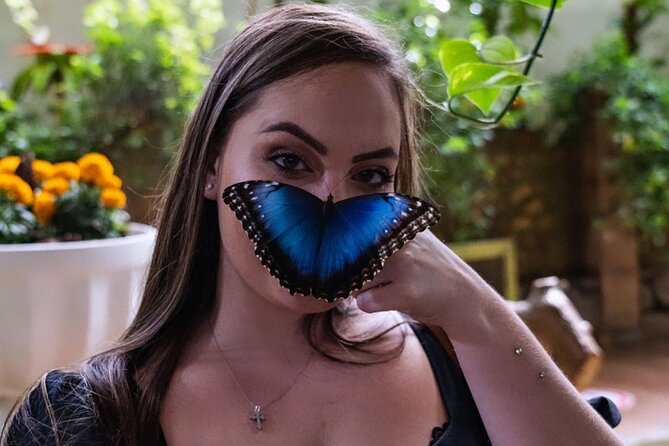 Dubai Butterfly Garden Entry Ticket - A practical two to three hour visit