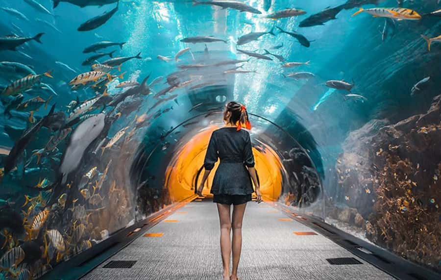 Dubai: City Tour with Burj Khalifa and Underwater Zoo Ticket - Burj Khalifa: spectacular height, careful timing required