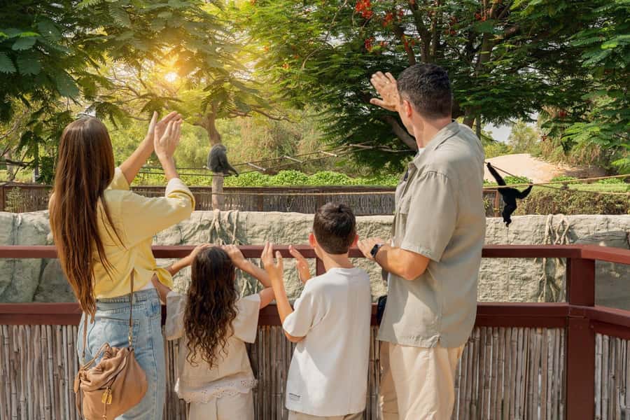 Dubai: Dubai Safari Park Entry Pass - How to plan the 119-hectare park
