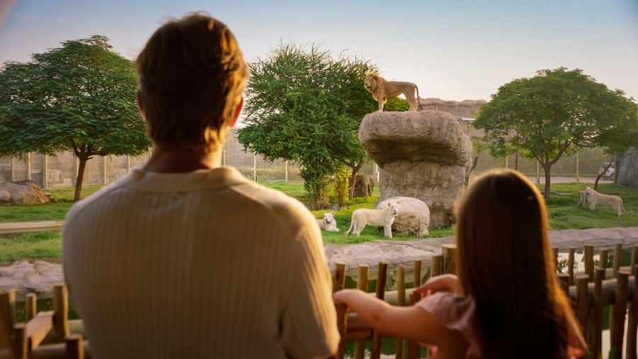Dubai: Dubai Safari Park Entry Pass - Explorer Village: the best paid upgrade for close views