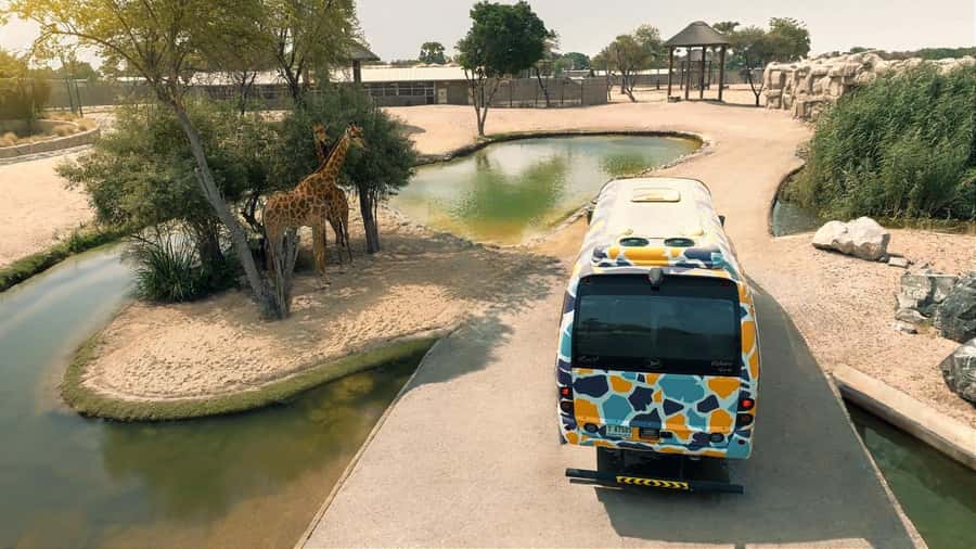 Dubai: Dubai Safari Park Entry Pass - Kids Farm and Grand Aviary: two different kinds of family fun