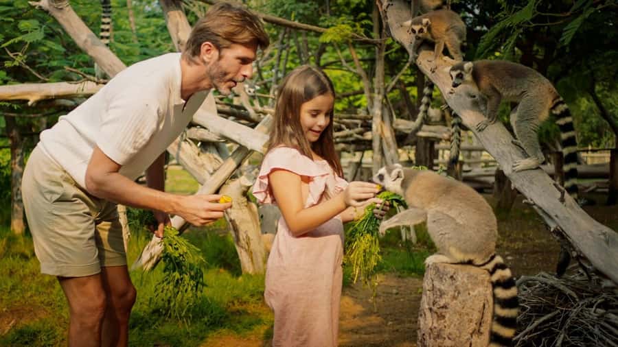 Dubai: Dubai Safari Park Entry Pass - Shows, talks, and workshops worth timing carefully