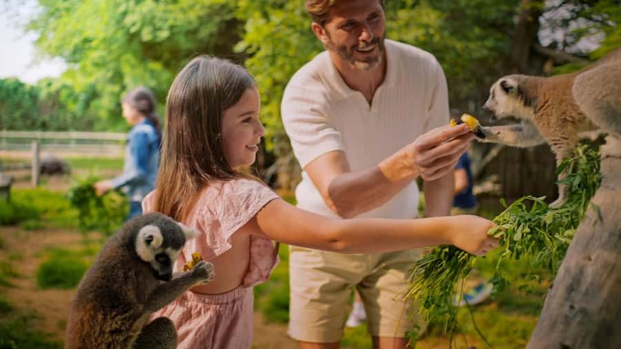 Dubai: Dubai Safari Park Entry Pass - Food, shade, and the realities of Dubai heat