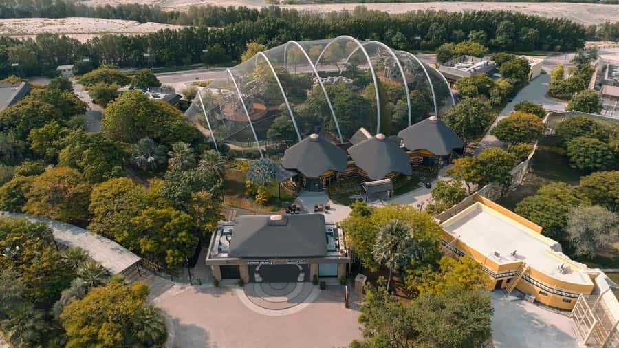 Dubai: Dubai Safari Park Entry Pass - Arabian Desert Zone: a short safari with useful context