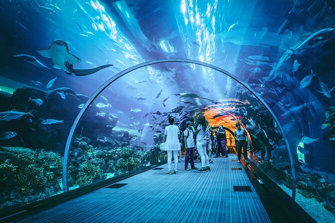 Dubai Mall Aquarium and Underwater Zoo Ticket - A giant aquarium inside Dubai Mall