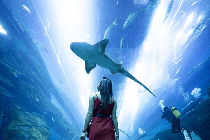 Dubai Mall Aquarium and Underwater Zoo Ticket - What the visit is like for families and mixed interests
