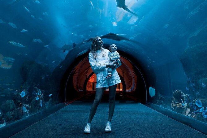 Dubai Mall Aquarium and Underwater Zoo Ticket - Ticket handling deserves extra care