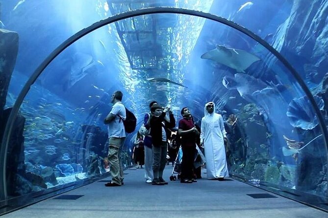 Dubai Mall Aquarium and Underwater Zoo Ticket - The Underwater Zoo and King Croc