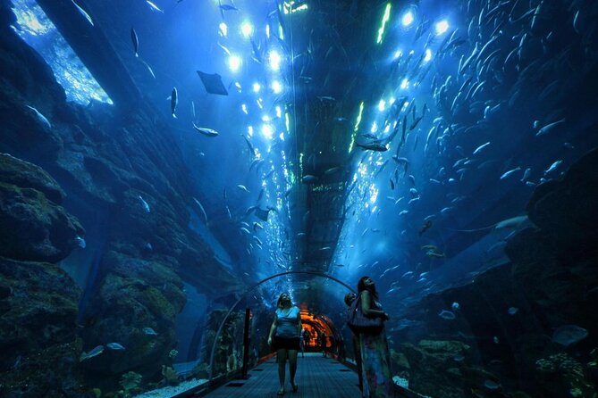 Dubai Mall Aquarium & Underwater Zoo with Penguin Cove Tickets - Key points to know before you book