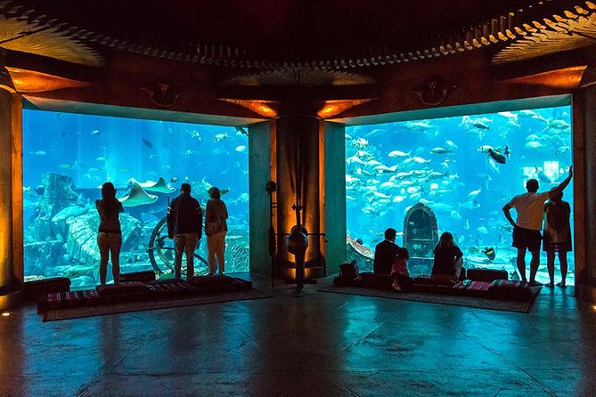 Dubai Mall Aquarium & Underwater Zoo with Penguin Cove Tickets - How much time should you allow?