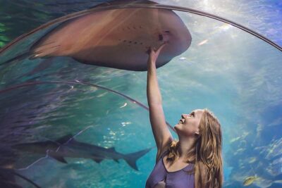 Dubai Mall Aquarium & Underwater Zoo with Penguin Cove Tickets
