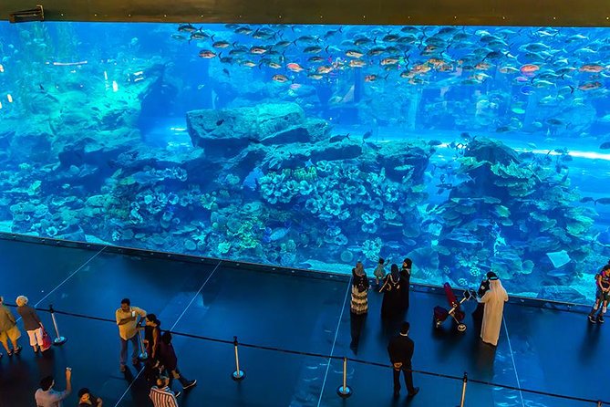 Dubai Mall Aquarium & Underwater Zoo with Penguin Cove Tickets - Who will enjoy this most?