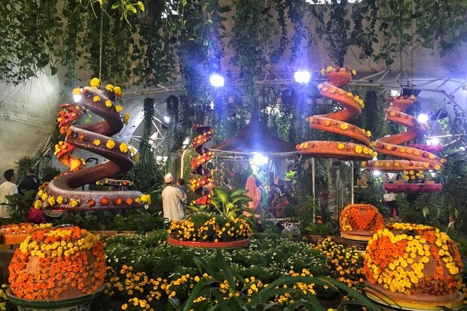 Dubai Miracle & Butterfly Garden Tour with private round trip transfers - Miracle Garden: flowers arranged for spectacle