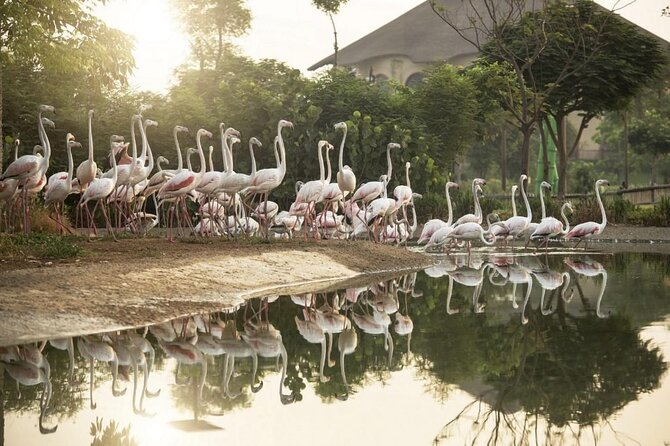 Dubai Safari Park - Al Wadi and the walk toward the villages