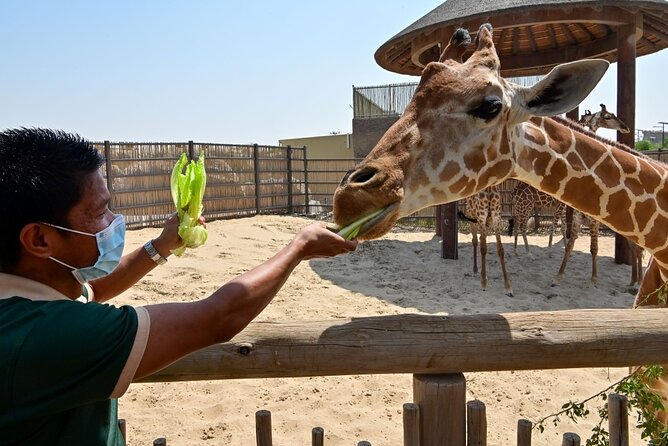 Dubai Safari Park - The 35-minute Safari Journey bus tour