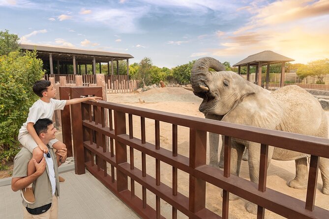 Dubai Safari Park - How long to stay and how to pace the day