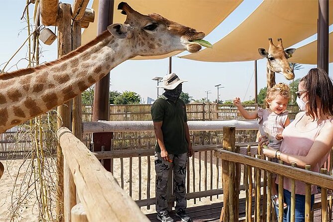 Dubai Safari Park Entry Tickets - Key points to know before you go