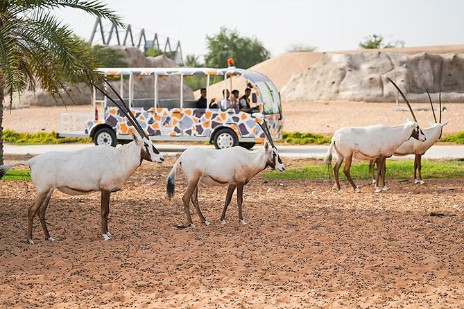 Dubai Safari Park Entry Tickets - Dubai Safari Park brings wildlife into the desert city