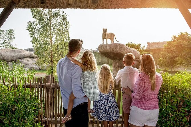 Dubai Safari Park Entry Tickets - Children get more than a look through the fence