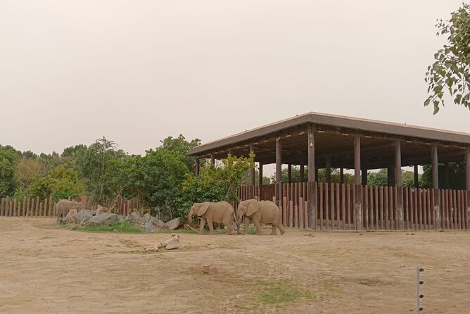 Dubai Safari Park Visit with Hotel Pickup and Drop-off - A wildlife afternoon built around easy transport