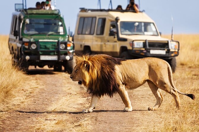 Dubai Safari Park With Transfer - Asian Village and rescued animals