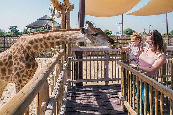 Dubai Safari Park With Transfer - Arabian Desert Safari in 10 minutes