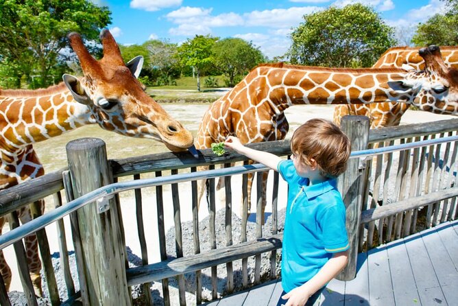 Dubai Safari Park - African Village, Asian Village, and Explorer Village