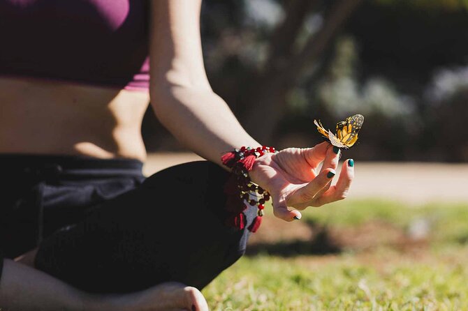 Dubai: Skip-The-Line Ticket to Butterfly Garden - Booking and entering without ticket-counter hassle